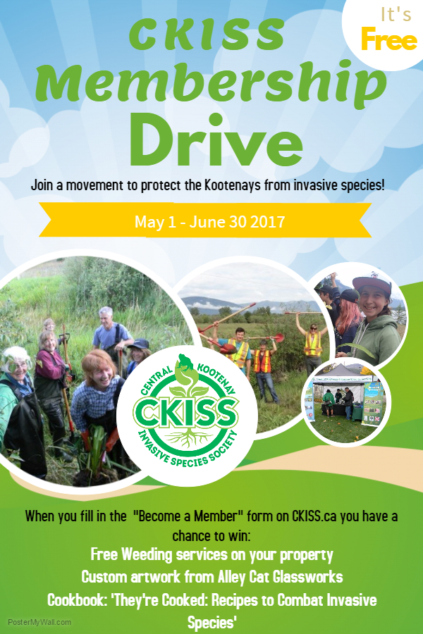 Membership drive Poster