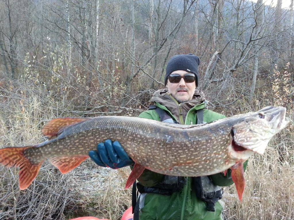 Episode 527: Covering Water for Northern Pike - Fish'n Canada