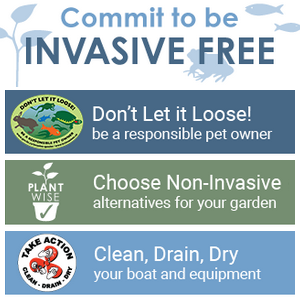 Commit to be invasive free