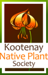 Kootnay Native Plant