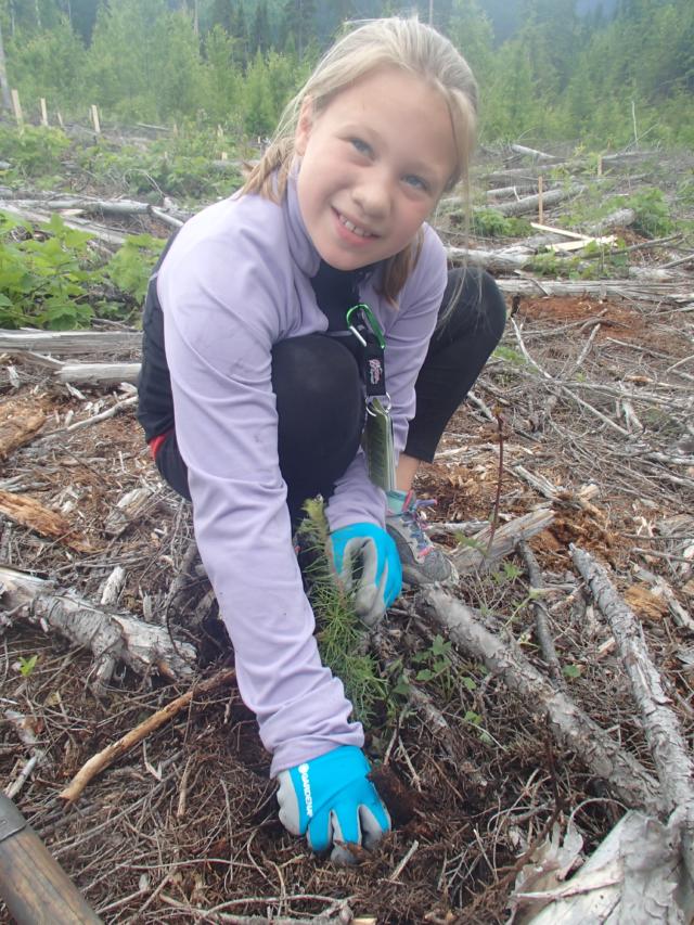 Planting trees