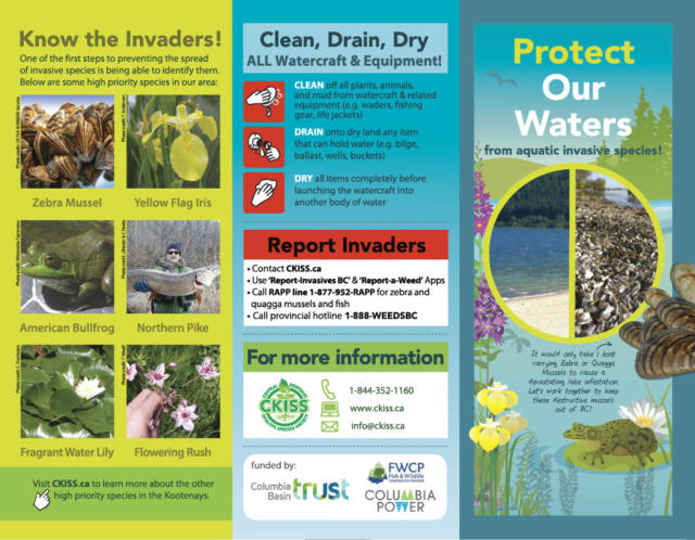 A new education tool to prevent the spread of harmful invasive species