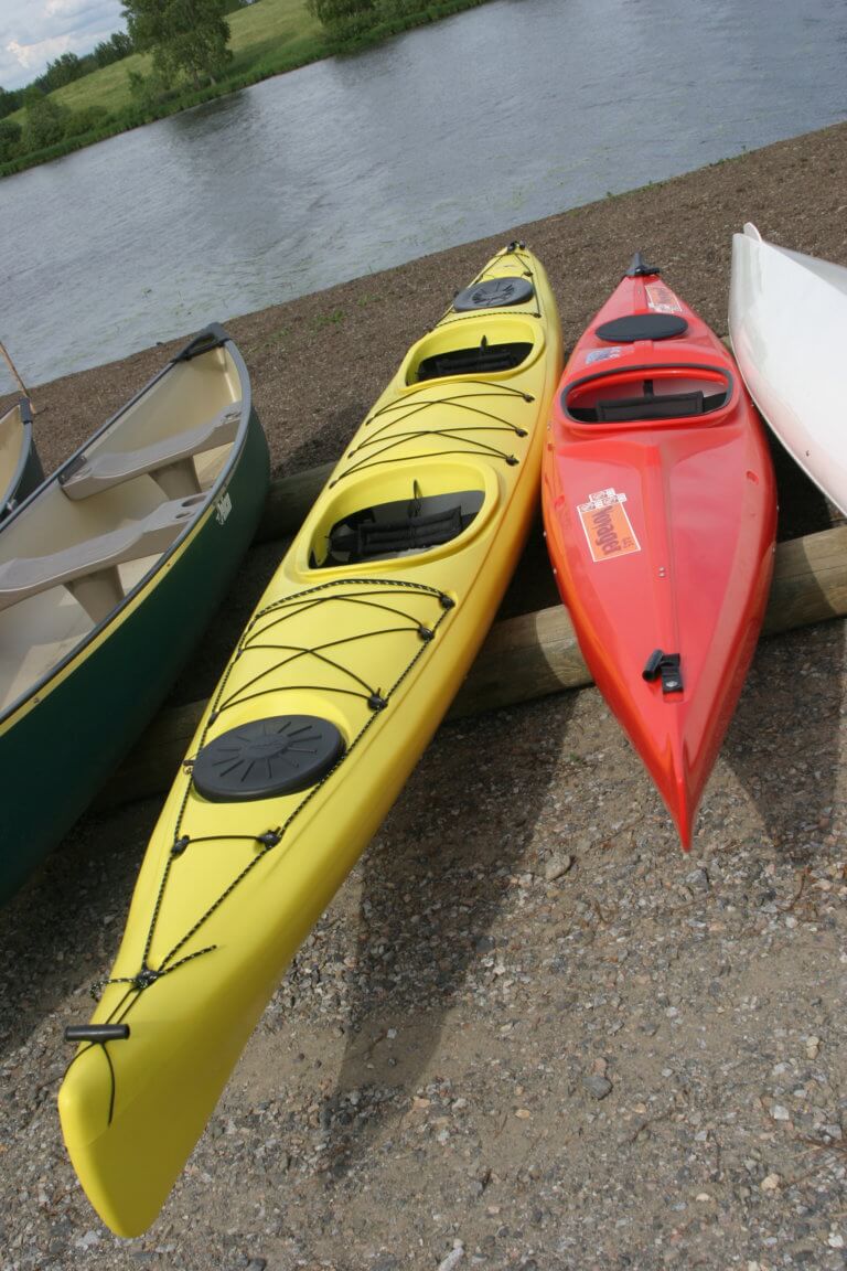 Kayak covered with invasive mussels is stopped before reaching B.C