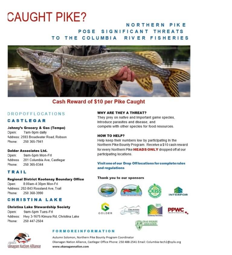 Northern Pike Bounty Program: $10 cash reward per pike caught! - CKISS ...