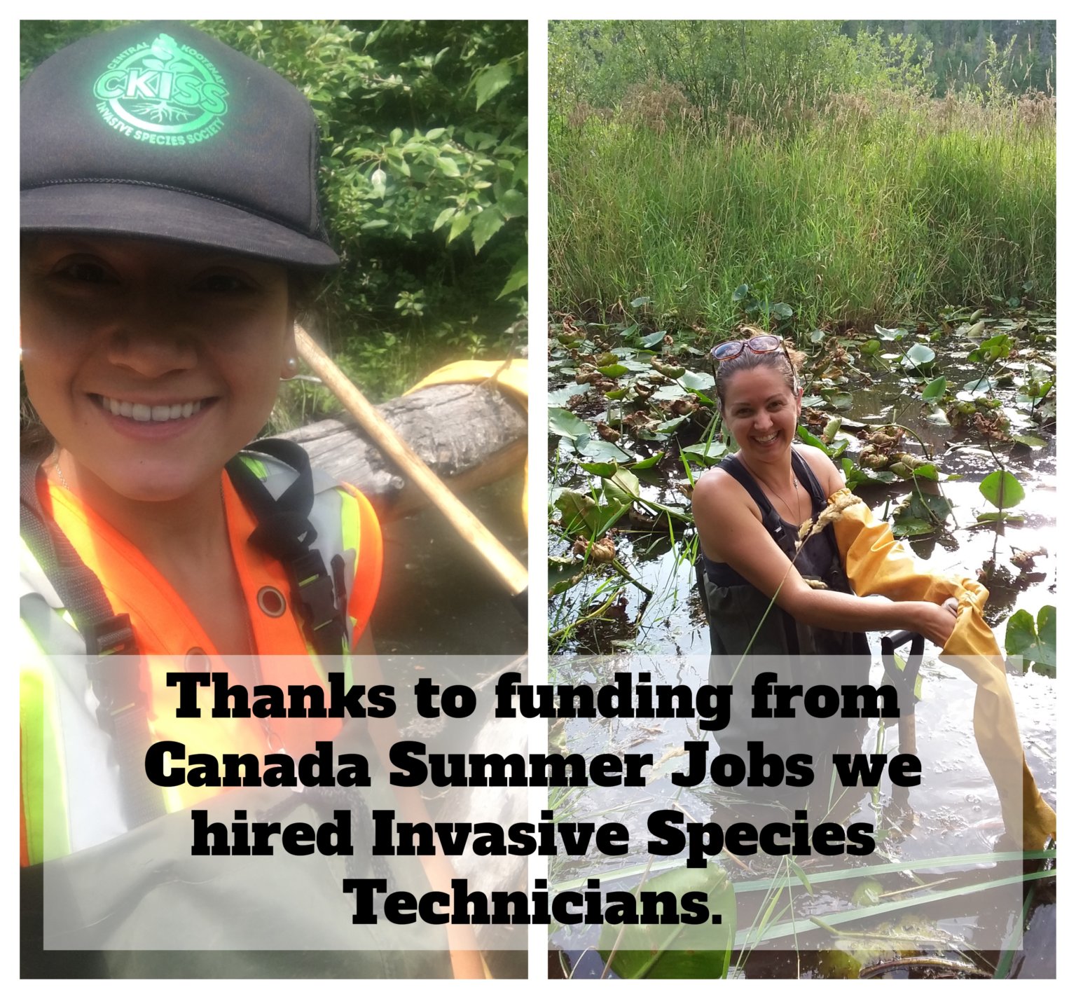 Canada Summer Jobs CKISS Central Kootenay Invasive Species Society