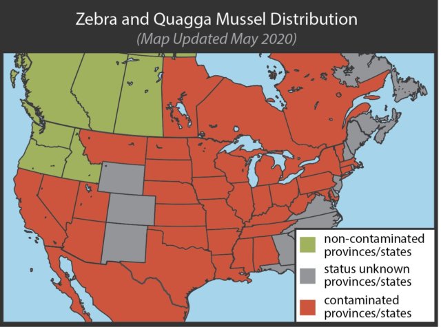 Zebra and Quagga Mussels - CKISS - Central Kootenay Invasive Species