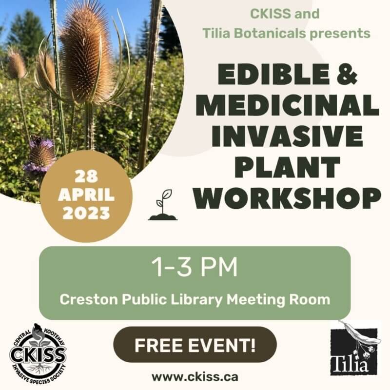 April 28, 2023 Edible & Medicinal Invasive Plant CKISS Central Kootenay Invasive