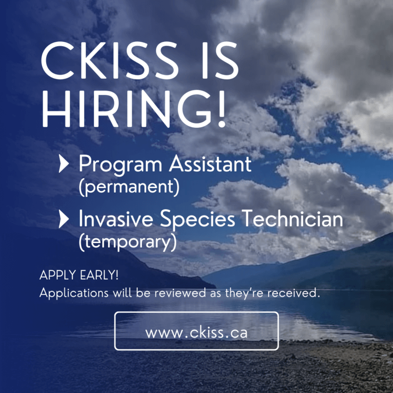 Join Our Team! CKISS is Hiring a Program Assistant & IS Tech - CKISS ...