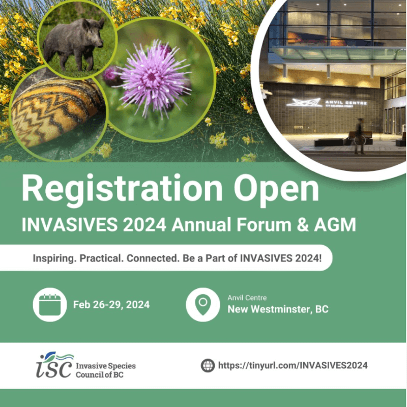 February 26 29 2024 INVASIVES 2024 Annual Forum AGM CKISS   ISCBC Forum Graphic  800x800 