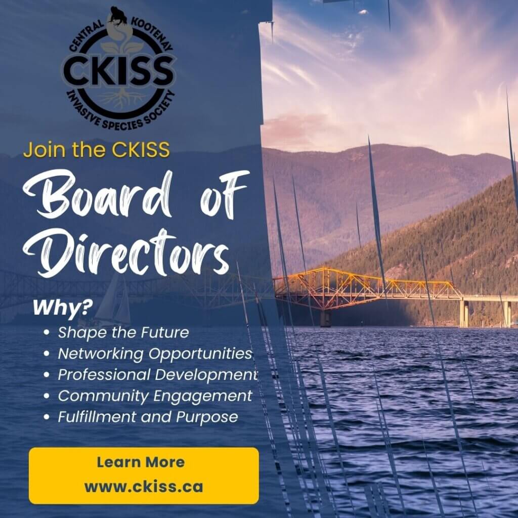 Join the CKISS Board of Directors and Make a Difference in