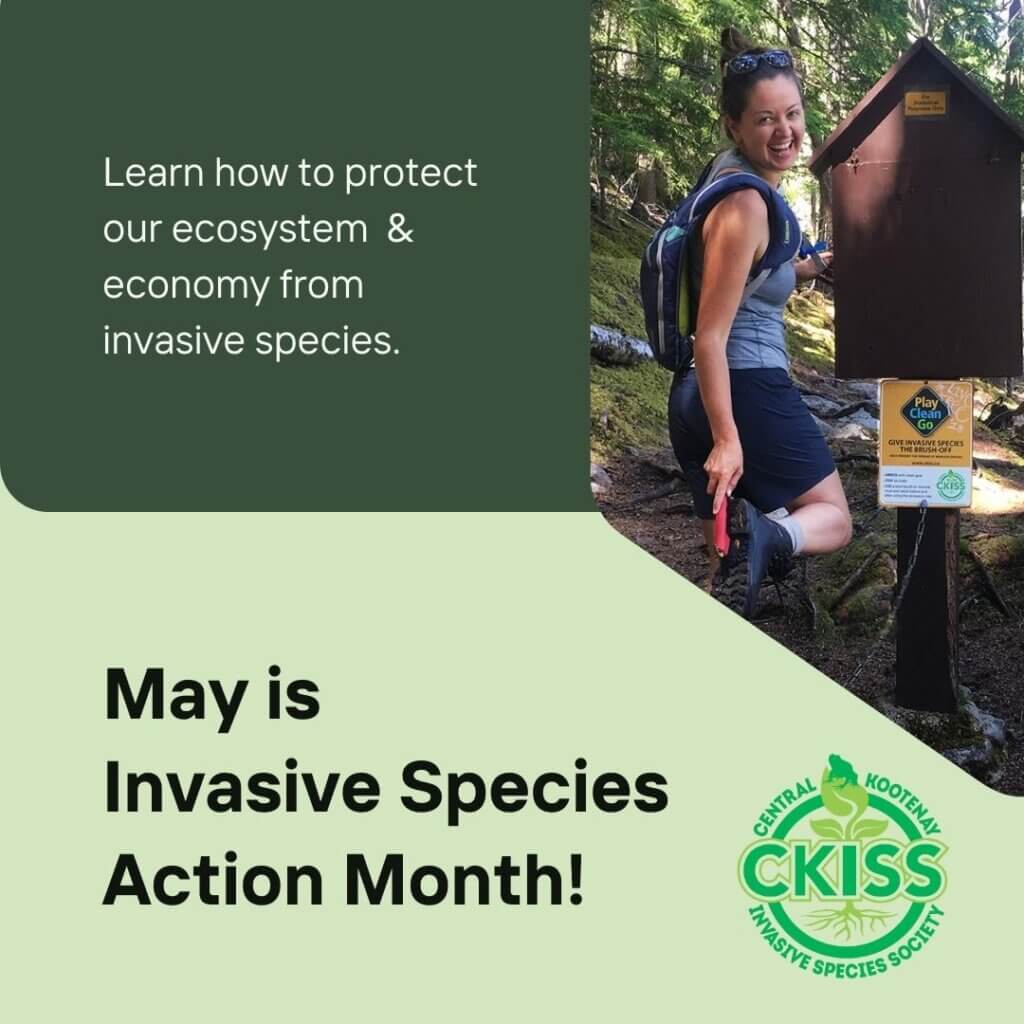 Join Ckiss In Combating Invasive Species May Declared Invasive Species