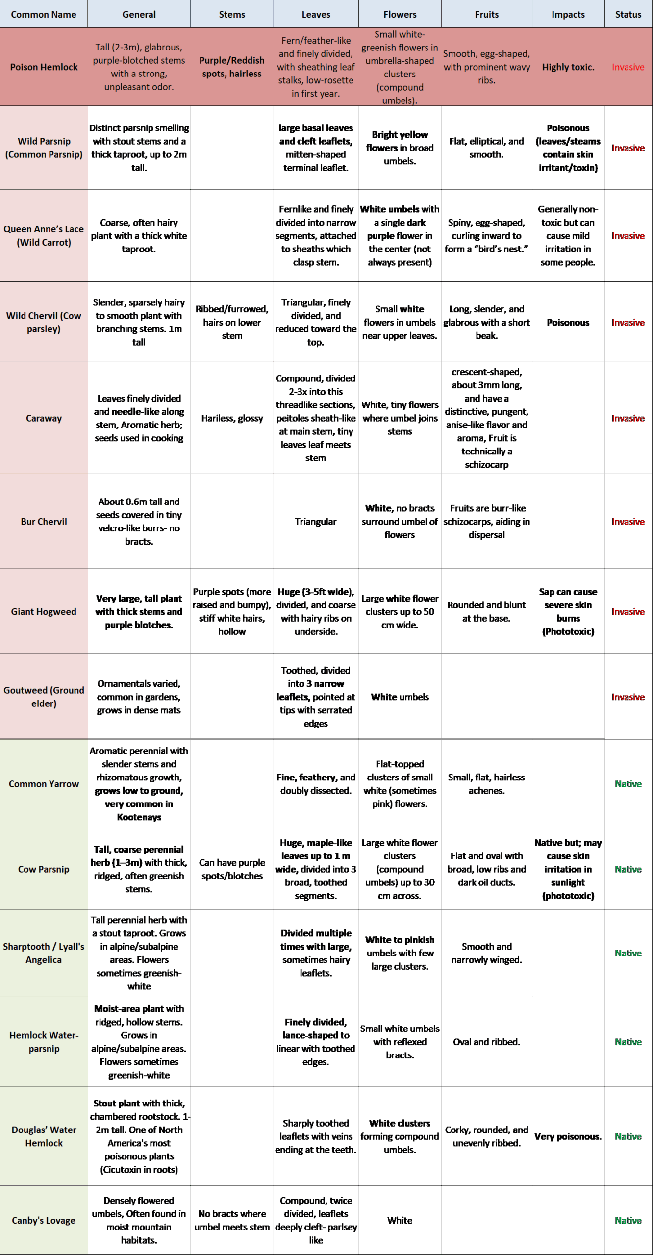 Poison Hemlock Comparison Chart- CKISS 2025