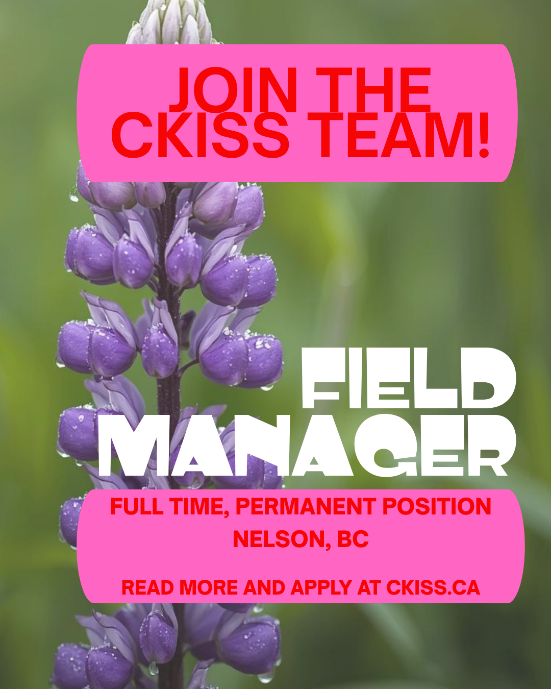 Field Manager Job Posting Image